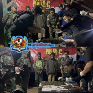 Satgas Yonif 403/WP Gagalkan Penyelundupan 2 Kg Ganja di Perbatasan RI–PNG