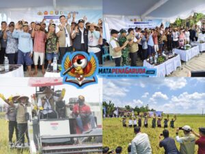 Dirut BULOG Panen Raya di Jawa Timur, Optimistis Mendukung Capaian Target 4 Juta Ton Setara Beras Tahun 2026