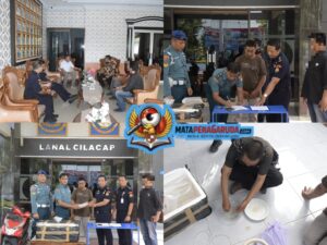 TNI AL Gagalkan Penyelundupan Benih Bening Lobster Ilegal Senilai RP 2,5 Miliar