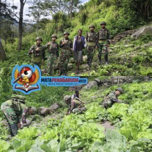 Perkuat Ketahanan Pangan Satgas Yonif 521/DY Bantu warga Berkebun di Distrik kurima