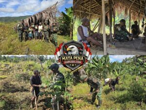 Perkuat Ketahanan Pangan Papua, Satgas Yonif 521/DY Bagikan Bibit Gratis dan Bantu Warga Berkebun di Kampung Benawa