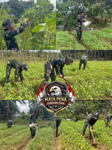 Satgas Yonif 123/Rajawali Wujudkan Ketahanan Pangan di Pedalaman Papua Selatan