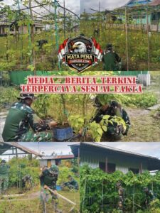 Satgas Yonif 123/Rajawali Kembangkan Hanpangan di Pos Korowai, Hasil Panen untuk Masyarakat